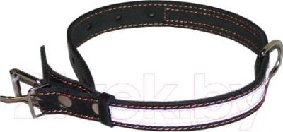 

Ошейник Collar, 2491
