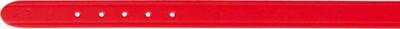 Ошейник Trixie 19303 Basic (XS, Red) - общий вид