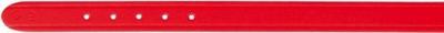 Ошейник Trixie 19313 Basic (XS-S, Red) - общий вид