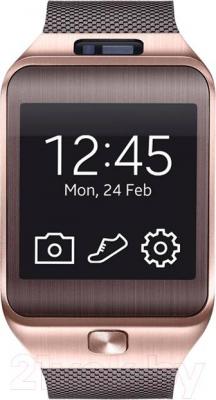 Умные часы Samsung Gear 2 SM-R380 (Gold-Brown) - общий вид