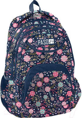 

Школьный рюкзак Paso, PPMZ19-2708/16