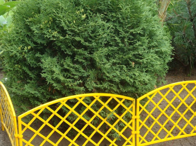 Изгородь декоративная Gardenplast Romanika (желтый)