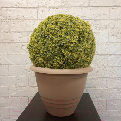 Изображение товара Кашпо Gardenplast Виола (капучино)