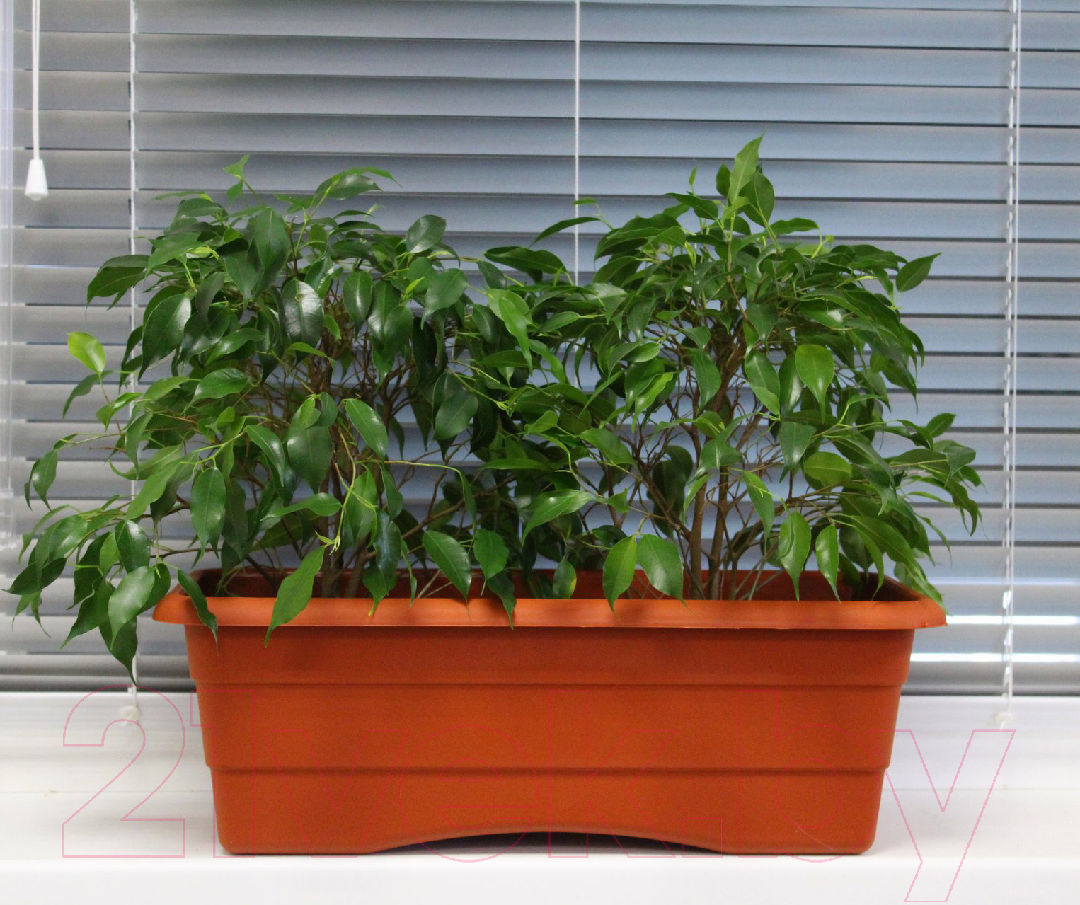 Кашпо Gardenplast №1 (терракотовый)