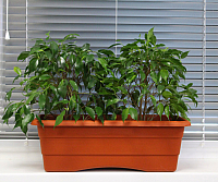 Кашпо Gardenplast №1 (терракотовый) - 