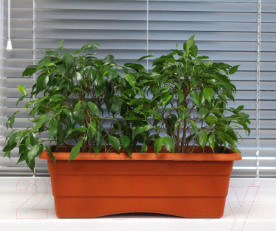 Кашпо Gardenplast №1 (терракотовый)