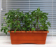 Кашпо Gardenplast №1 (терракотовый) - 