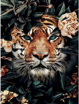 

Картина по номерам, JH048