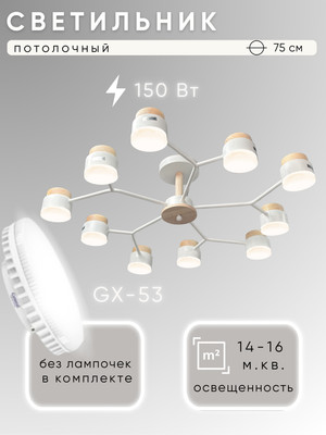 

Люстра, X1000/10