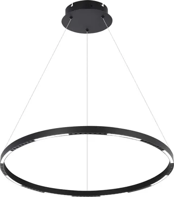 

Потолочный светильник, Vision 2063-D800 BK