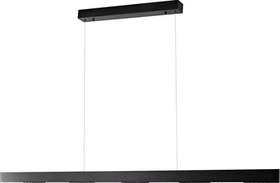 

Потолочный светильник, Vision 2063-1200 BK