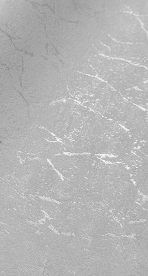 

Виниловые обои, ТФ1-11-023-02