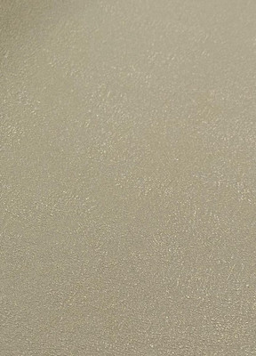 

Виниловые обои, ТФ-11-302-01