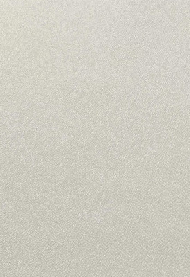 

Виниловые обои, ТФ-11-304-04