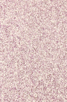 

Жидкие обои Bioplast, 8673