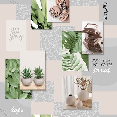 

Бумажные обои, Рапсодия 13650