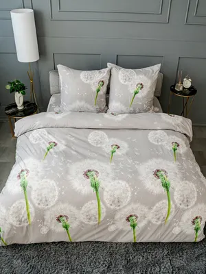 

Комплект постельного белья, 2сп Жанет рис.12510 Одуванчики на сером