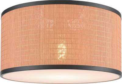 

Потолочный светильник, 568-707-01