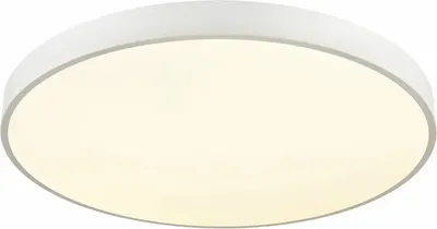 

Потолочный светильник, 444-067-01