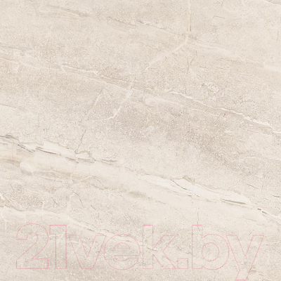 Плитка Netto Gres Dyna Silver Polished (600x600)