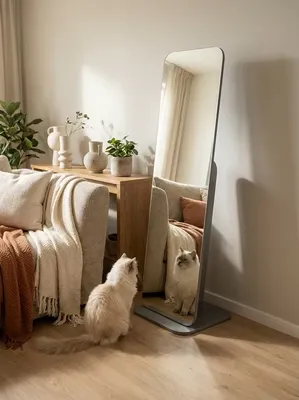 

Зеркало, Стелла 4