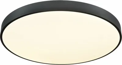 

Потолочный светильник, 444-667-01