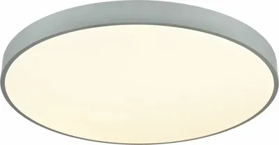 

Потолочный светильник, 444-267-01