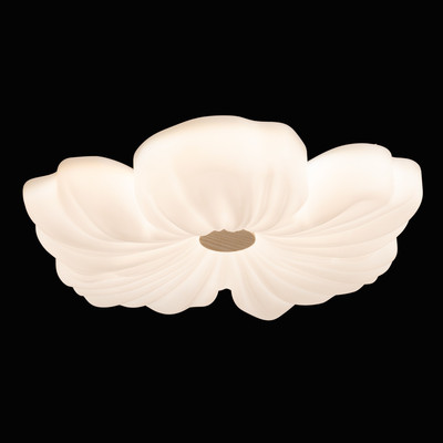 

Потолочный светильник, Мадлен 424019501