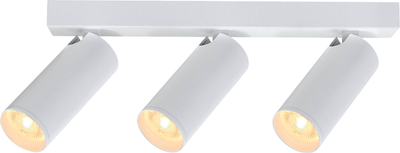 

Спот, Nazare 9178