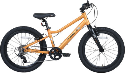 

Детский велосипед, 5Bike 20 L 2026 / MSC-M5-2023