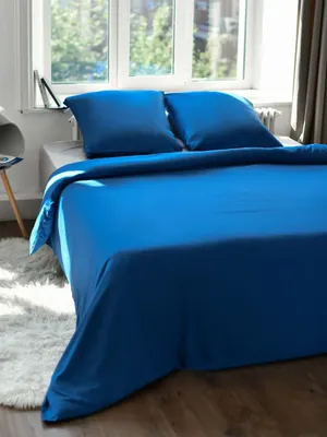 

Комплект постельного белья, Манетти 1.5сп