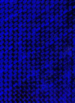 Пленка самоклеящаяся Color Dekor Голографическая 1007 (0.45x8м)