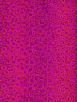 Пленка самоклеящаяся Color Dekor Голографическая 1036 (0.45x8м) - 