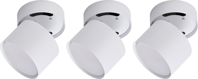 

Комплект спотов, 2100503