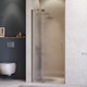 Душевая дверь RGW HO-014Gr / 350601410-210 - 