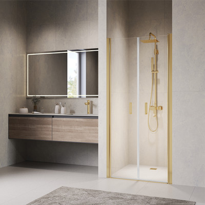 

Душевая дверь, PA-104Gb / 060810408-16