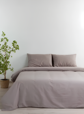 

Комплект постельного белья, Евро 50х70 41262/0 / 16-0906