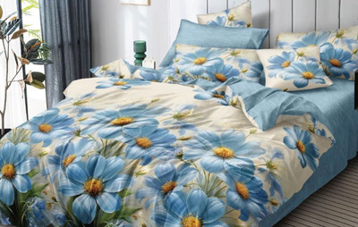 

Комплект постельного белья, № F 75014 A/B (N) 2сп с европростыней