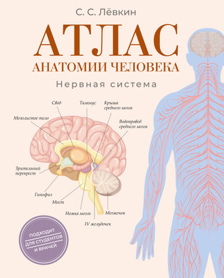 Учебное пособие АСТ Атлас анатомии человека. Нервная система