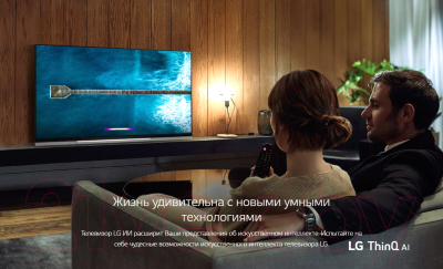 Телевизор LG OLED65E9