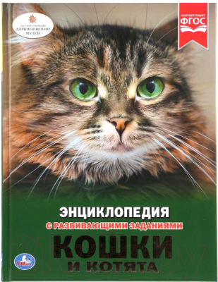 Энциклопедия Умка Кошки и котята (Седова Н.)