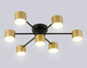 Люстра Ambrella FL51726/7 BK/GD (черный/золото) - 