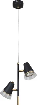 

Потолочный светильник, Trandy 4618-2P