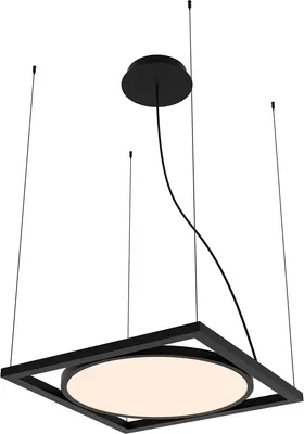 

Потолочный светильник, Pany 4637-1P