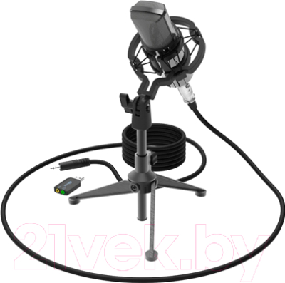 

Микрофон Ritmix, RDM-160