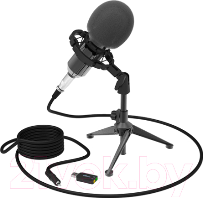 Микрофон Ritmix RDM-160 (черный)