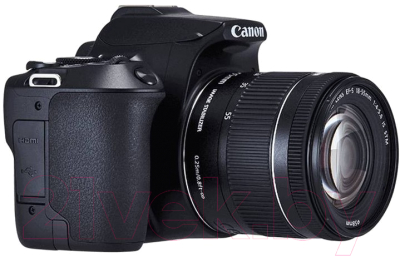 Зеркальный фотоаппарат Canon EOS 250D Kit EF-S 18-55mm IS STM / 3454C002 (черный)