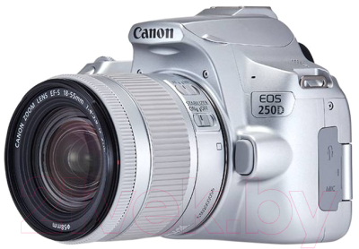 Зеркальный фотоаппарат Canon EOS 250D Kit EF-S 18-55mm IS STM / 3461C001 (серебристый)