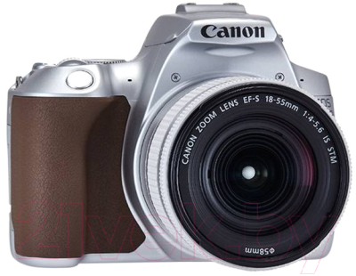 Зеркальный фотоаппарат Canon EOS 250D Kit EF-S 18-55mm IS STM / 3461C001 (серебристый)