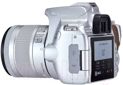 Зеркальный фотоаппарат Canon EOS 250D Kit EF-S 18-55mm IS STM / 3461C001 (серебристый)